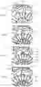 Fig. 06 - Vessel dispensing system