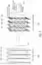Fig. 06 - Determination of higher order terms of the three-dimensional gradient impulse response function