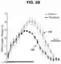 Fig. 05 - Optogenetic magnetic resonance imaging