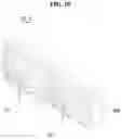 Fig. 09 - Optical member and display device including the same