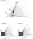 Fig. 07 - Configuring a hazard zone monitored by a 3D sensor