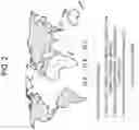 Fig. 03 - Electronic apparatus, method of controlling the same and recording medium thereof