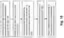 Fig. 09 - Device for Mood Feature Extraction and Method of the Same