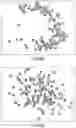 Fig. 06 - Method for processing an image of a papillary impression