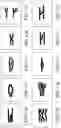 Fig. 09 - Method for processing an image of a papillary impression