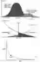 Fig. 02 - Biometric identification and verification