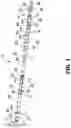 Fig. 02 - Straddle packer with fluid pressure packer set and velocity bypass for proppant-laden fracturing fluids
