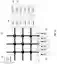 Fig. 13 - Synaptic, dendritic, somatic, and axonal plasticity in a network of neural cores using a plastic multi-stage crossbar switching