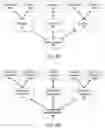 Fig. 06 - Unsupervised machine learning system to automate functions on a graph structure