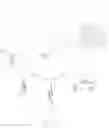 Fig. 02 - PASSIVE CROWDSOURCED PACKAGE DELIVERY