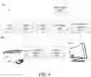 Fig. 09 - UNDERUTILIZED ALLOTMENT FEE