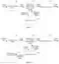 Fig. 06 - Image fusion apparatus and image fusion method