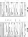Fig. 33 - Methods and systems for displaying text using RSVP