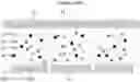 Fig. 01 - Electrophoretic display including four particles with different charges and optical characteristics