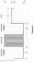 Fig. 07 - Electrophoretic display including four particles with different charges and optical characteristics