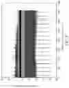 Fig. 06 - METHOD OF DETERMINING FITTING FUNCTIONS FOR SUB-PIXELS OF A DISPLAY PANEL