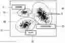 Fig. 01 - Apparatus that identifies a scene type and method for identifying a scene type