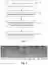Fig. 02 - Method and apparatus for detecting starting point and finishing point of speech, computer device and storage medium
