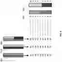Fig. 06 - Processes for calculating phased fetal genomic sequences