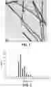 Fig. 02 - Thin and uniform silver nanowires, method of synthesis and transparent conductive films formed from the nanowires