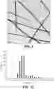 Fig. 06 - Thin and uniform silver nanowires, method of synthesis and transparent conductive films formed from the nanowires