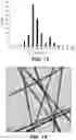 Fig. 08 - Thin and uniform silver nanowires, method of synthesis and transparent conductive films formed from the nanowires