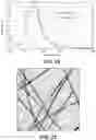 Fig. 12 - Thin and uniform silver nanowires, method of synthesis and transparent conductive films formed from the nanowires