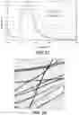 Fig. 15 - Thin and uniform silver nanowires, method of synthesis and transparent conductive films formed from the nanowires