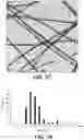 Fig. 20 - Thin and uniform silver nanowires, method of synthesis and transparent conductive films formed from the nanowires