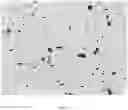Fig. 03 - Masterbatches for Preparing Composite Materials with Enhanced Conductivity Properties, Process and Composite Materials Produced