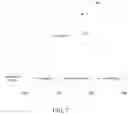Fig. 02 - 3D mass spectrometry predictive classification