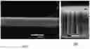 Fig. 01 - Metal nanowire based thermal interface materials