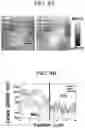 Fig. 20 - Resistive switching element and photovoltaic device including the same