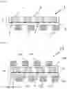 Fig. 02 - FLEXIBLE THERMOELECTRIC CONVERSION ELEMENT AND METHOD FOR MANUFACTURING SAME