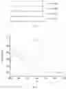 Fig. 02 - Organic solar cell