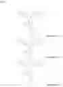 Fig. 17 - High-molecular-weight compound having substituted triarylamine skeleton