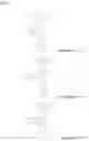 Fig. 44 - High-molecular-weight compound having substituted triarylamine skeleton