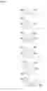 Fig. 47 - High-molecular-weight compound having substituted triarylamine skeleton