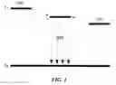 Fig. 02 - Space-through charge transfer compound, and organic light emitting diode and organic light emitting display device including the same