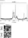 Fig. 04 - ELECTRODE MATERIAL AND APPLICATION THEREOF