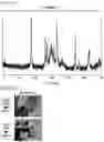 Fig. 08 - ELECTRODE MATERIAL AND APPLICATION THEREOF