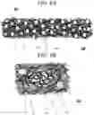 Fig. 07 - Gas diffusion layer for fuel battery, membrane electrode assembly, and fuel battery