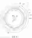 Fig. 08 - ANGULAR POSITION SENSING DEVICE