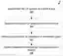 Fig. 01 - System for external validation of private-to-public transition protocols