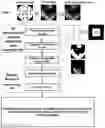 Fig. 01 - Vision-based alerting based on physical contact prediction