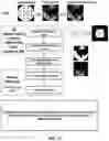 Fig. 22 - Vision-based alerting based on physical contact prediction