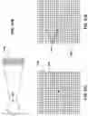 Fig. 33 - Vision-based alerting based on physical contact prediction