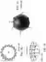 Fig. 02 - Modified pseudo-cylindrical mapping of spherical video using linear interpolation of empty areas for compression of streamed images