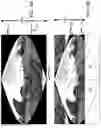 Fig. 09 - Modified pseudo-cylindrical mapping of spherical video using linear interpolation of empty areas for compression of streamed images