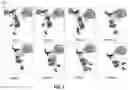 Fig. 02 - METHOD OF OPTIMIZING MEDIA USED TO DISPLAY MOVING IMAGES